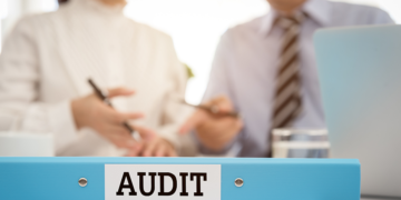 Tax audit representation services